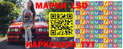 индика Владивосток