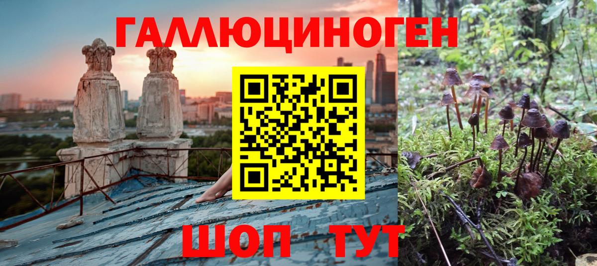 Бузулук  Псилоцибиновые грибы мицелий  Вход с VPN 